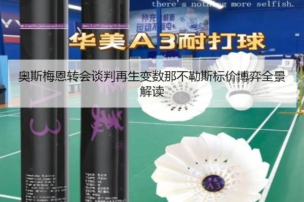 奥斯梅恩转会谈判再生变数那不勒斯标价博弈全景解读