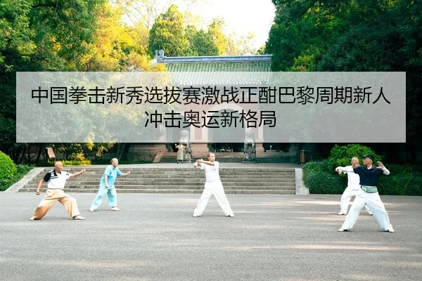 中国拳击新秀选拔赛激战正酣巴黎周期新人冲击奥运新格局